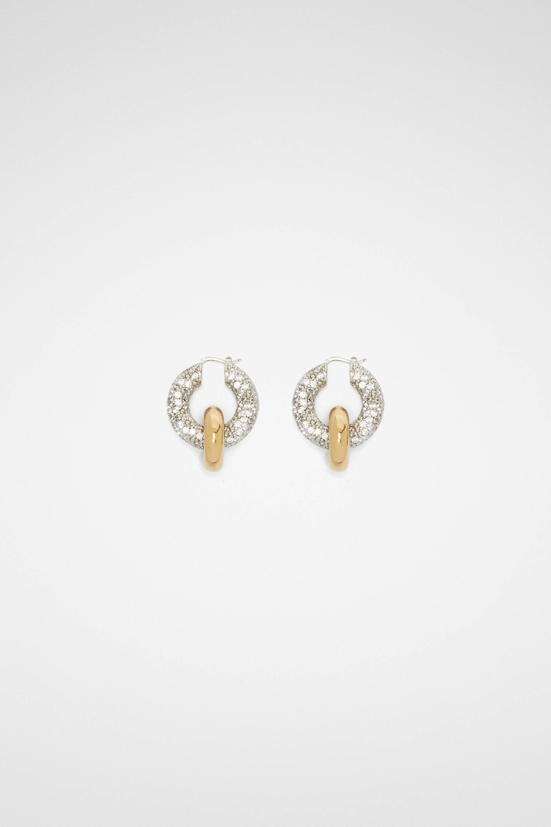 Earrings - 1