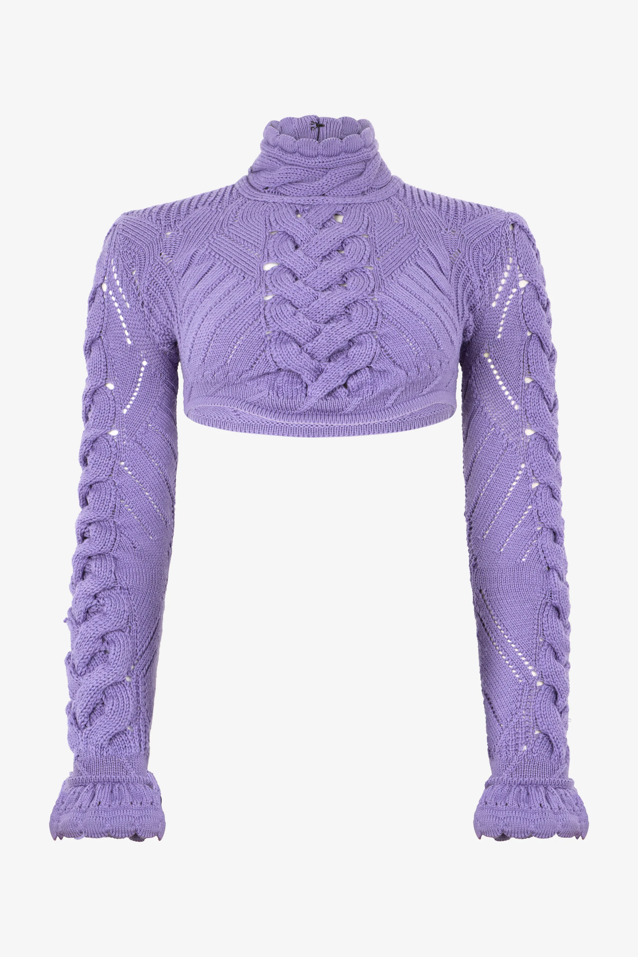 Cropped Braided Knit Top With High Neck - 1