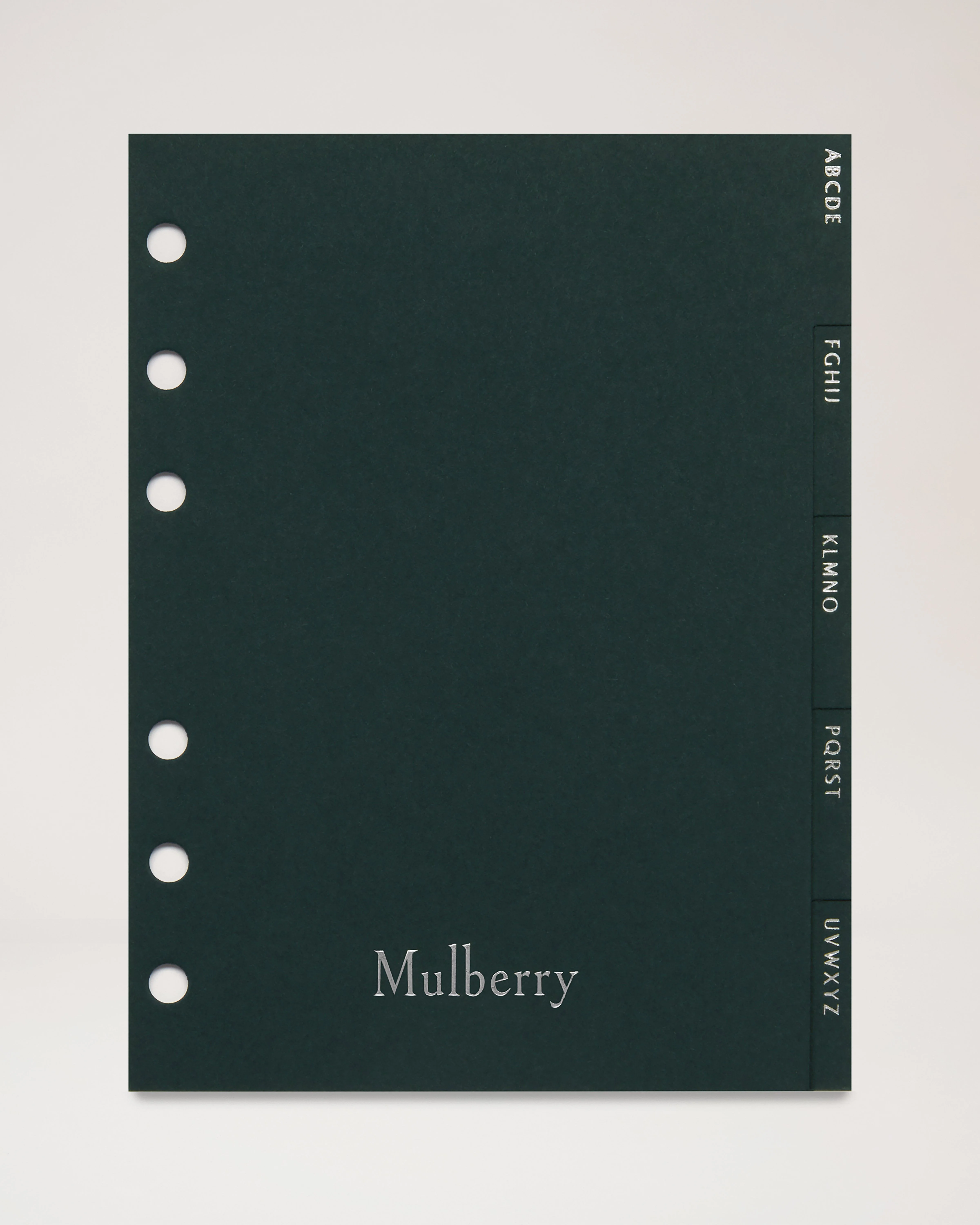 Agenda Contacts Dividers Insert
Mulberry Green Paper - 1