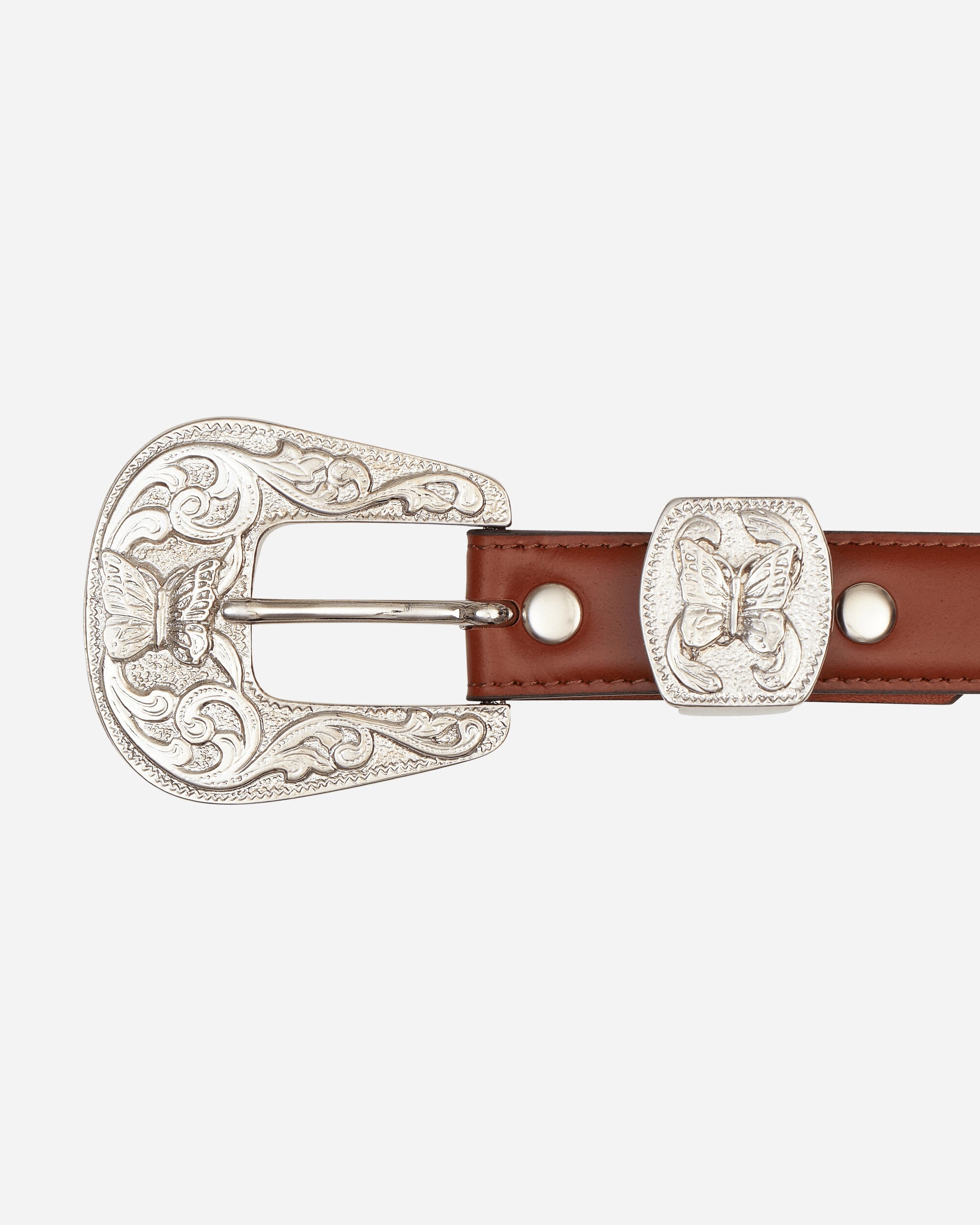 Papillon Western Tip Belt Brown - 5