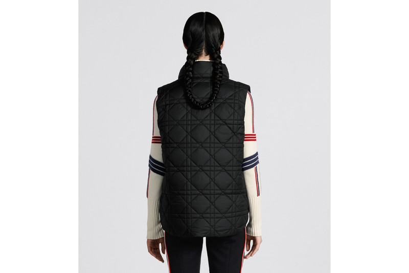 DiorAlps Puffer Vest 4