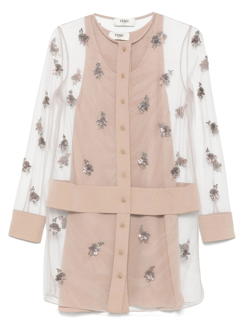 Embroidered Tulle Mini Dress 1