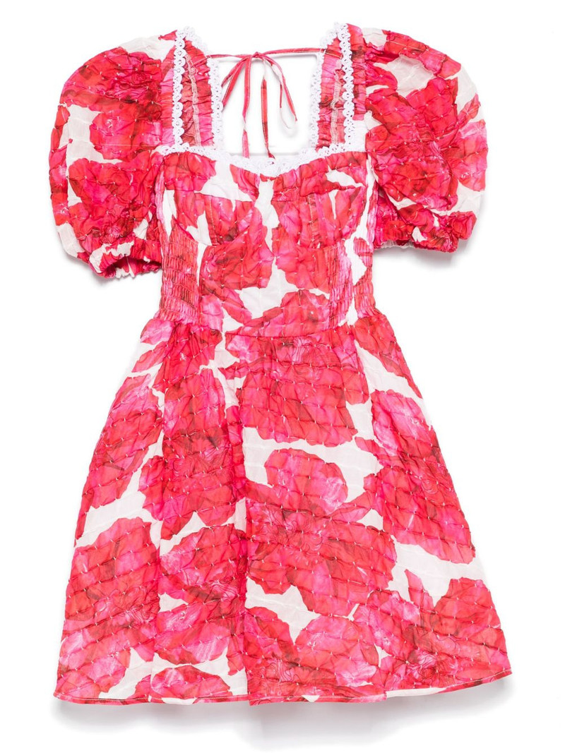 Ceile mini dress 1