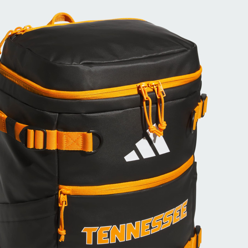 Collegiate Vista Backpack 3