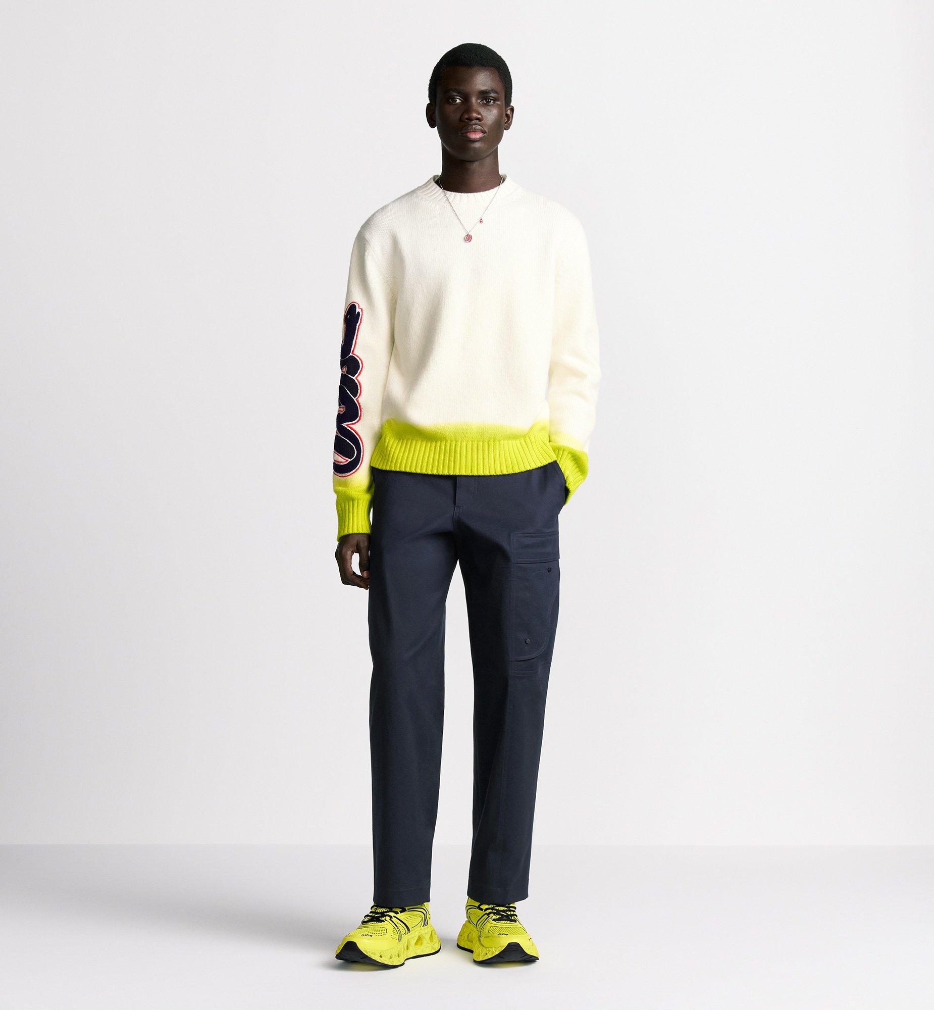 DIOR AND KAWS Cargo Pants - 3