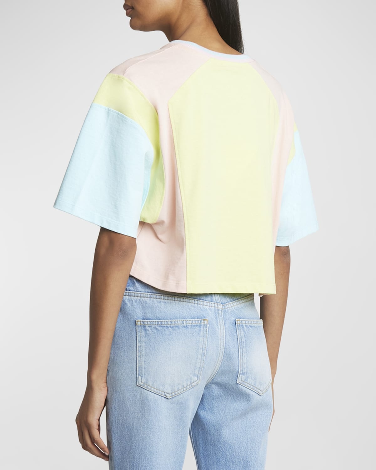 Palm Tree Colorblock Short-Sleeve Logo Crop T-Shirt - 6