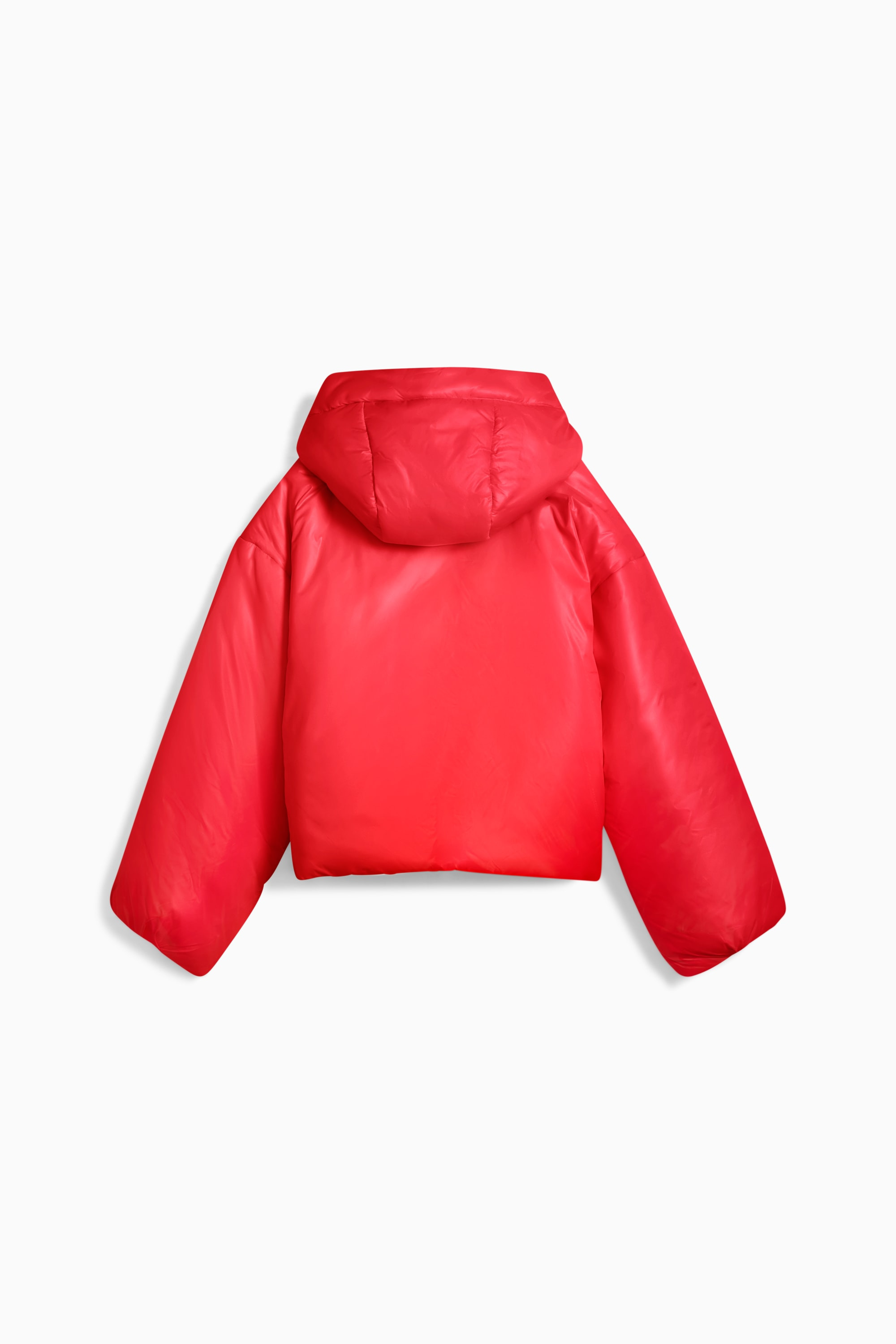 Shiny Hooded Padded Jacket Women - 2