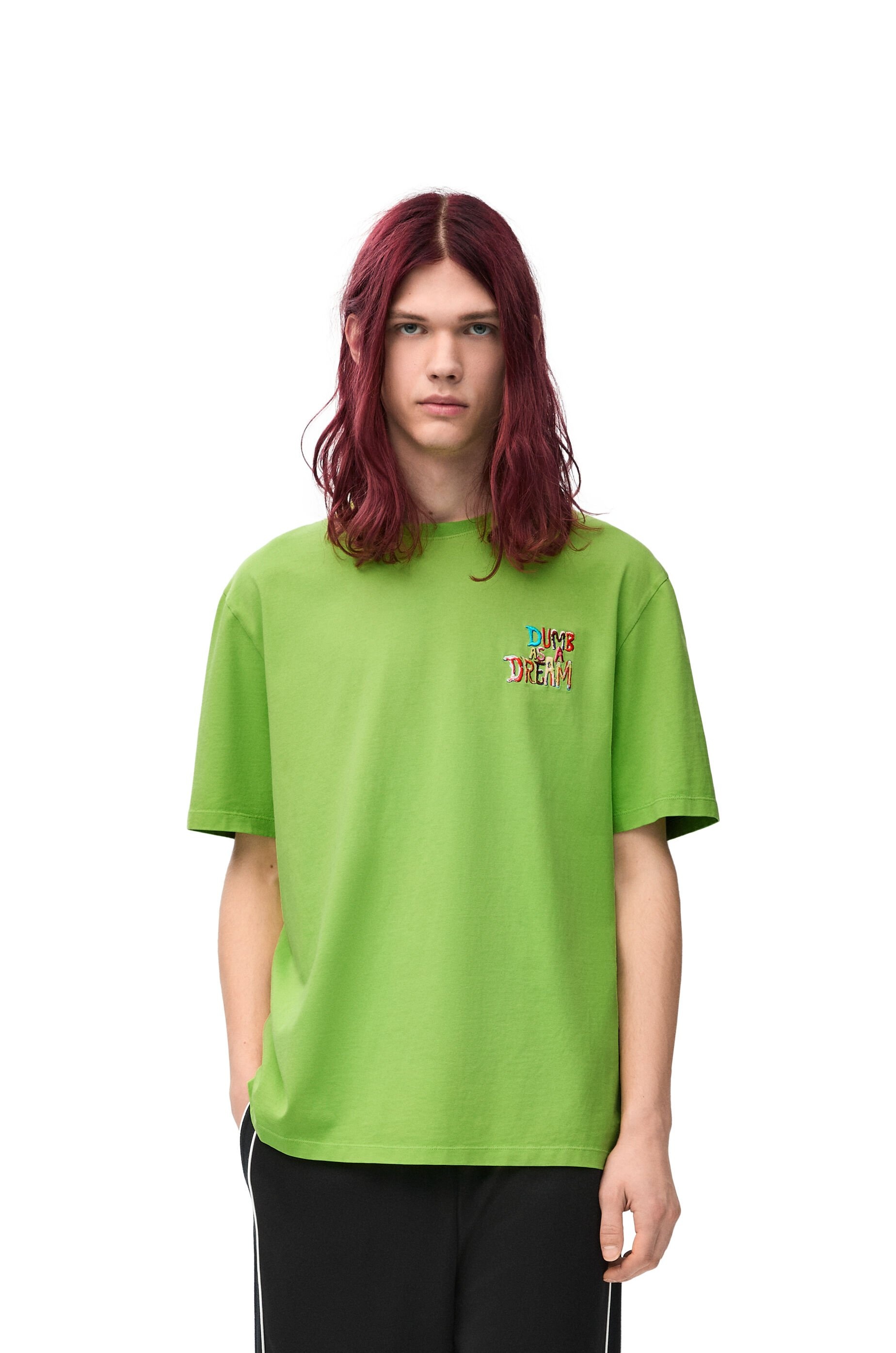 【LOEWE】HSM1Y22J01 RICHARD HAWKINS ルーズフィットTシャツ ルーズフィット Tシャツ（コットン） ブラウン - LOEWE