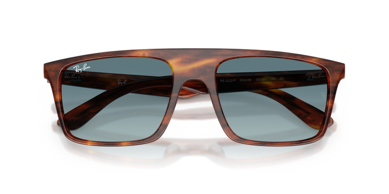 Ray-Ban RB2222 outlook