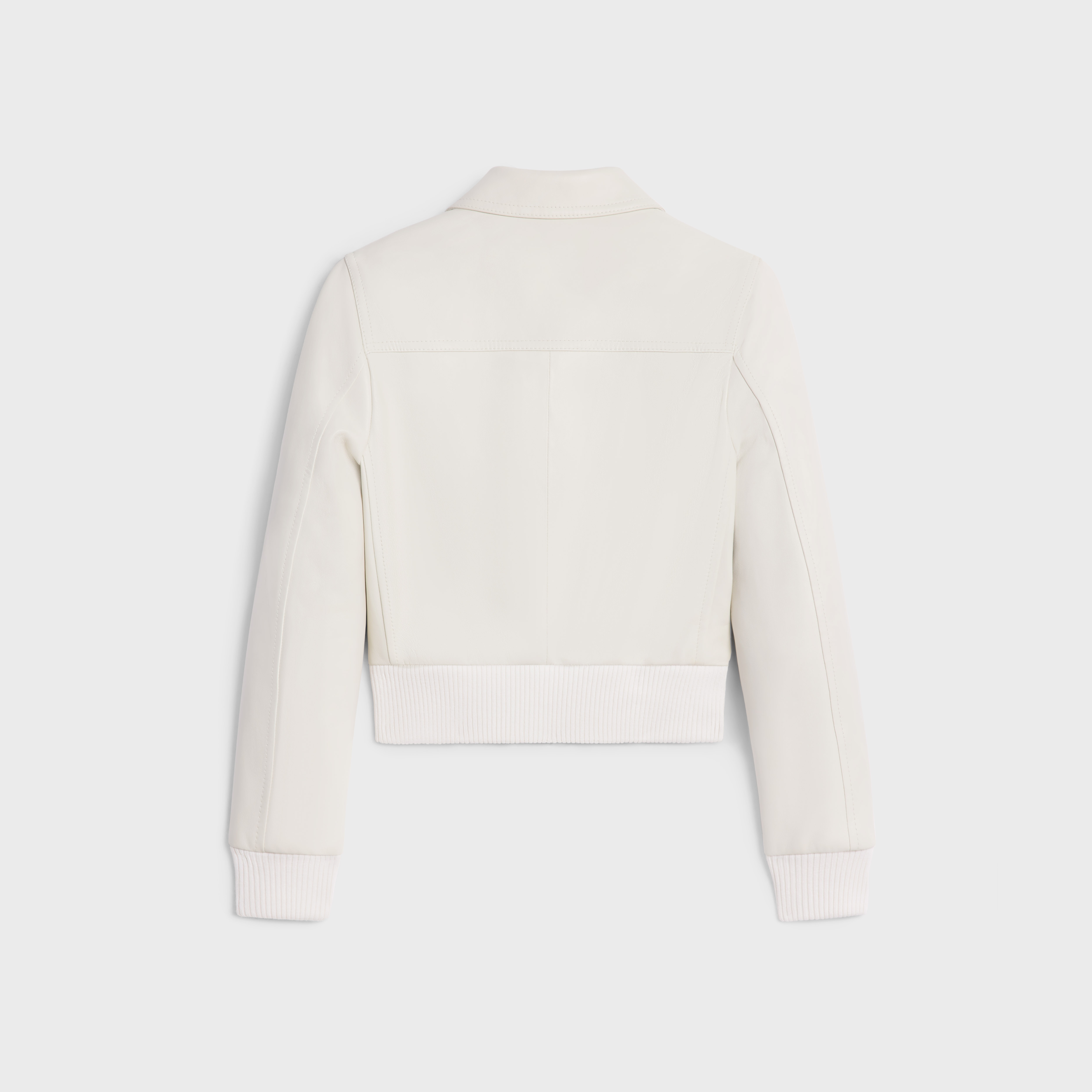 Triomphe blouson jacket in soft lambskin - 2