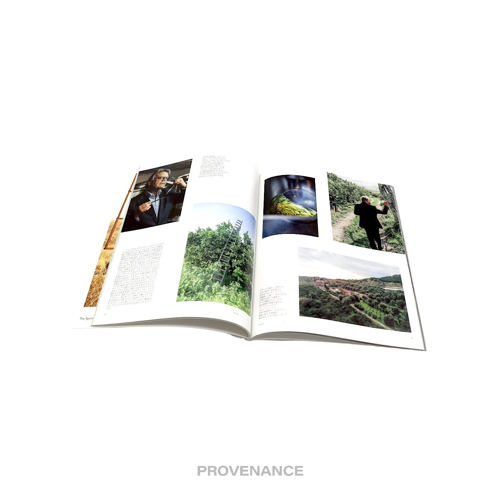 Louis Vuitton - The Book #8 - 7