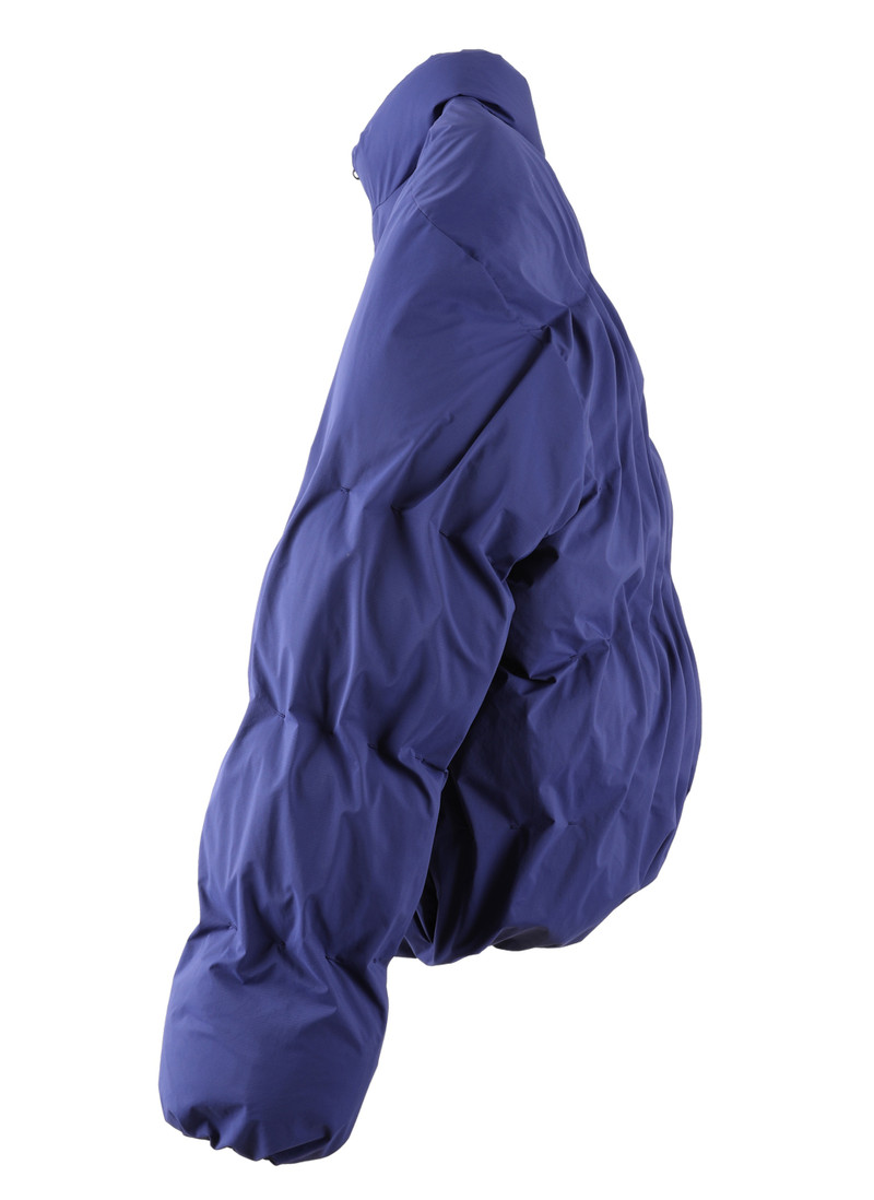 5.1 DOWN RIGHT (BLUEBERRY) 5