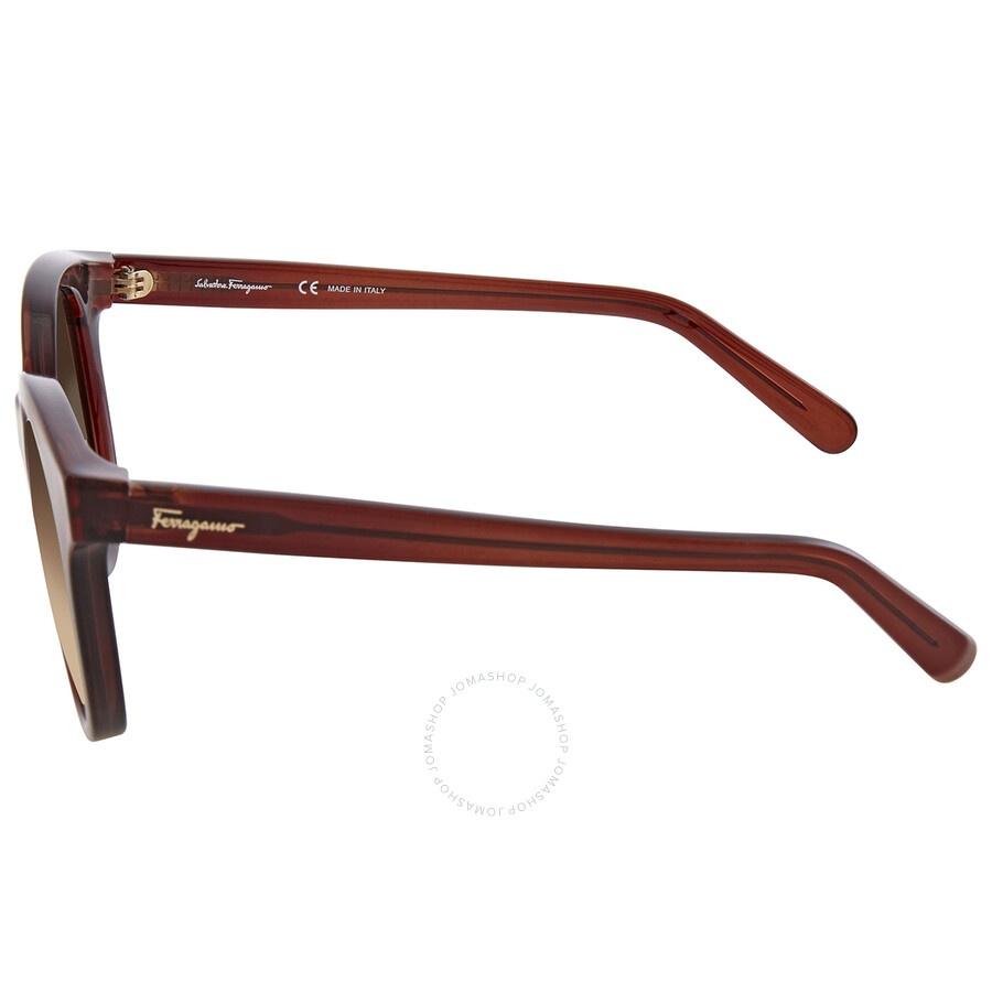Ferragamo Brown Gradient Teacup Ladies Sunglasses SF833S 210 53 - 3