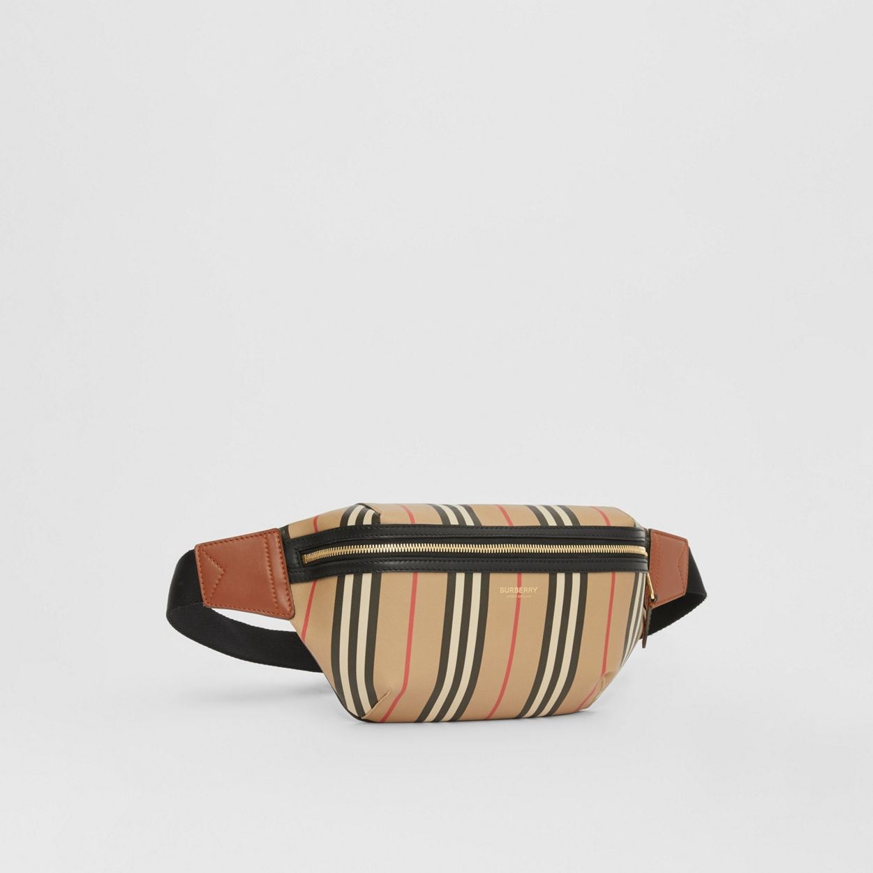 Icon Stripe Sonny Bum Bag - 9