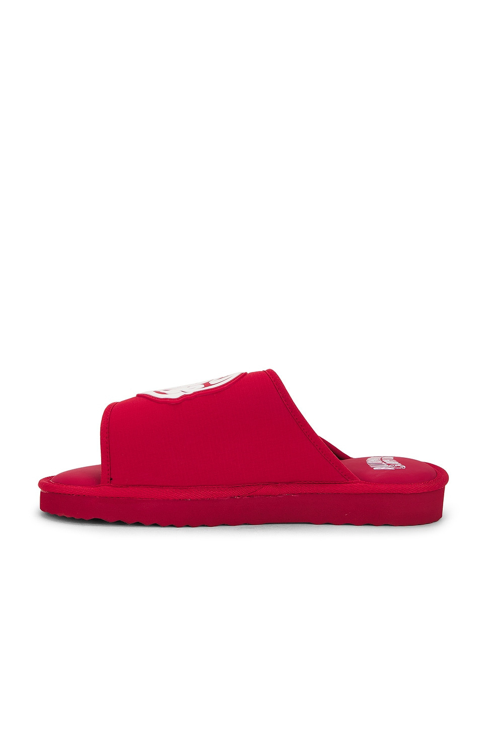 Astrowalker Slide - 5