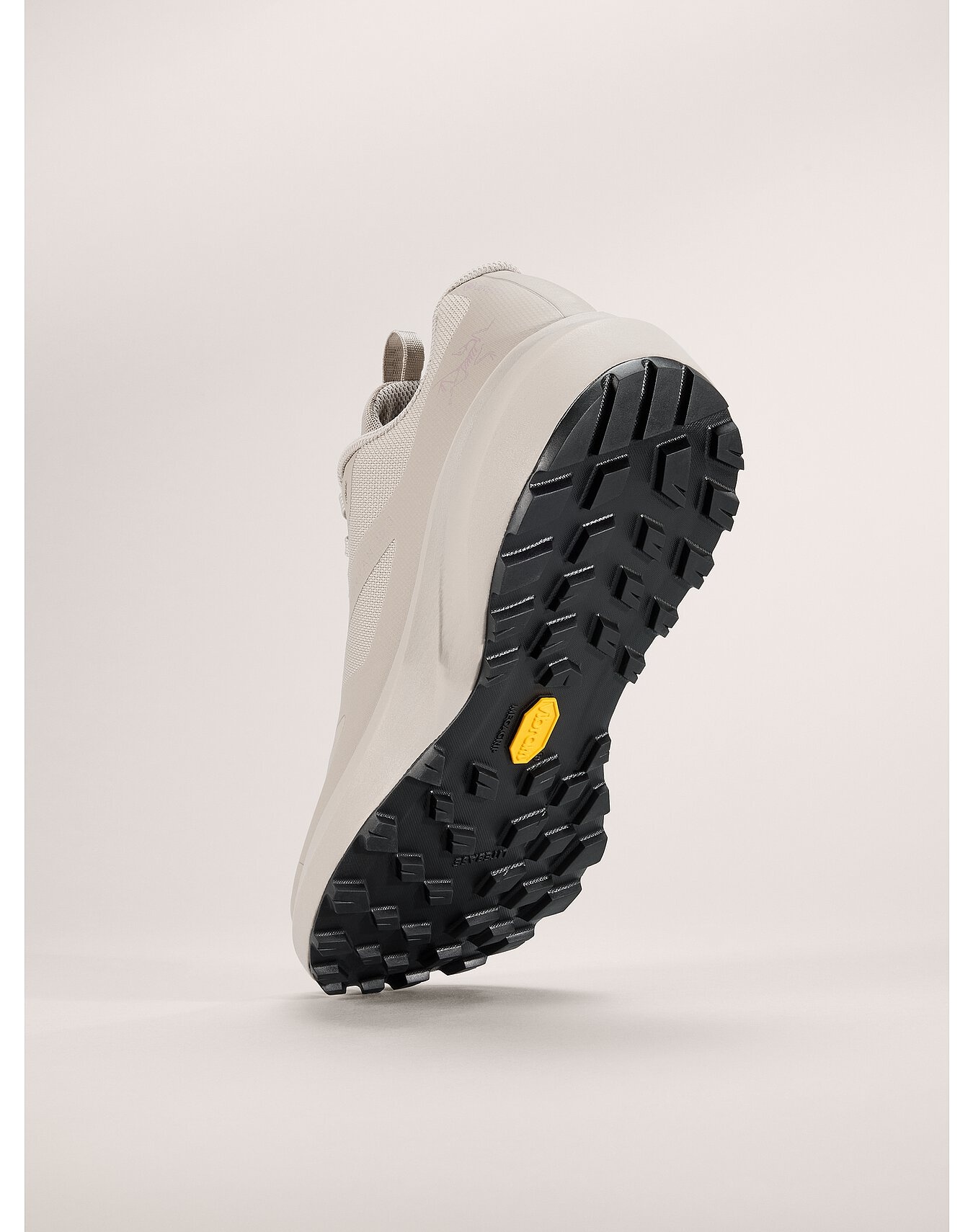 Norvan LD 3 GTX Shoe - 4