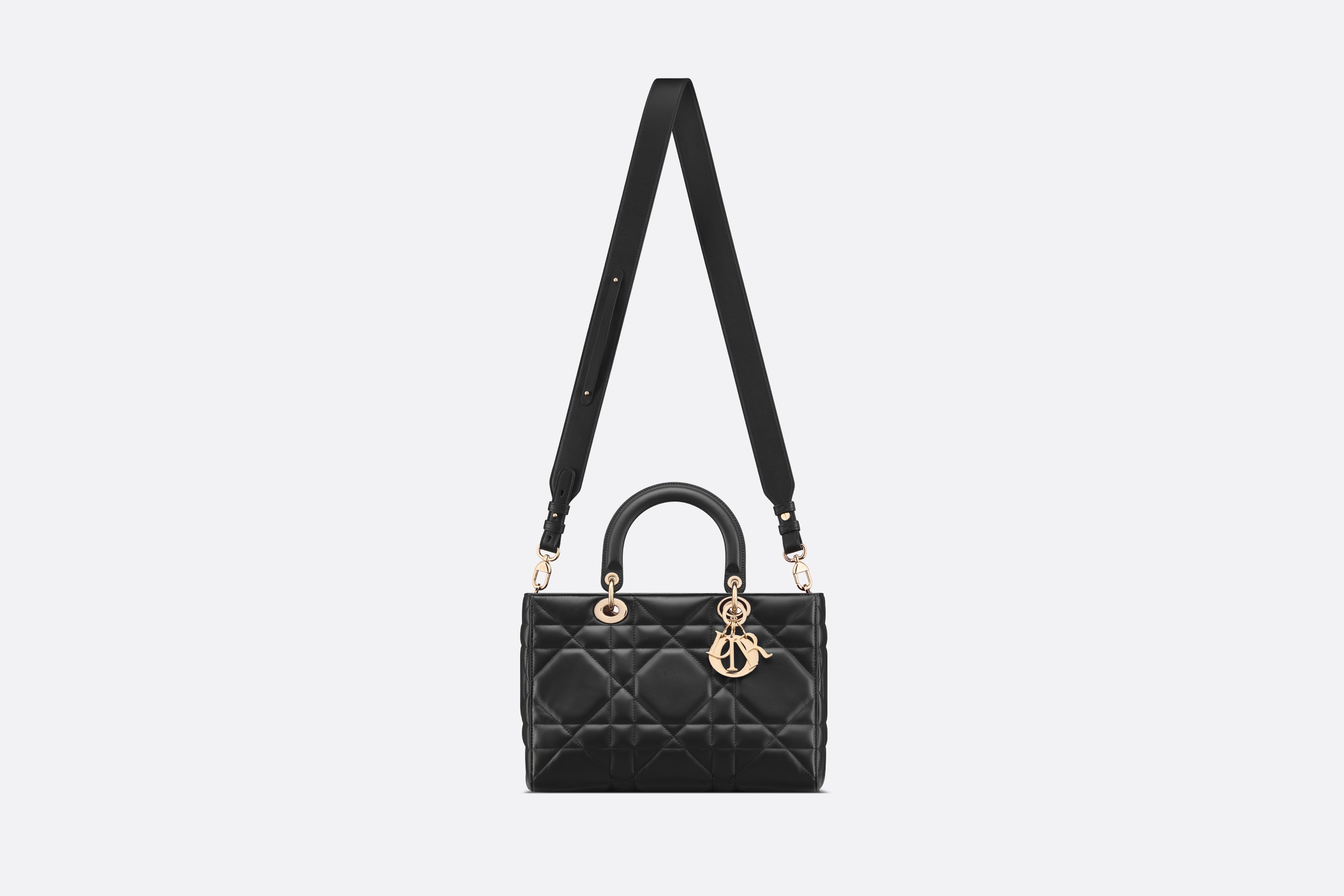 Medium Lady D-Sire My ABCDior Bag - 8