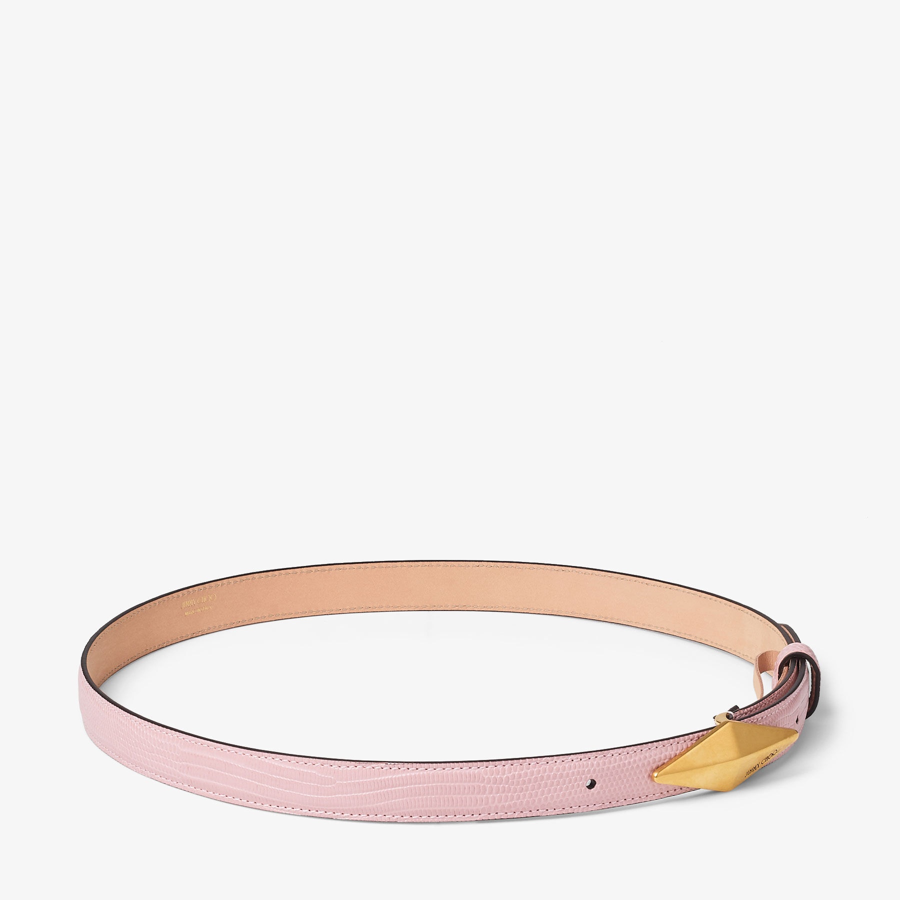 Diamond Clasp Belt
Rose Lizard Print Belt - 2