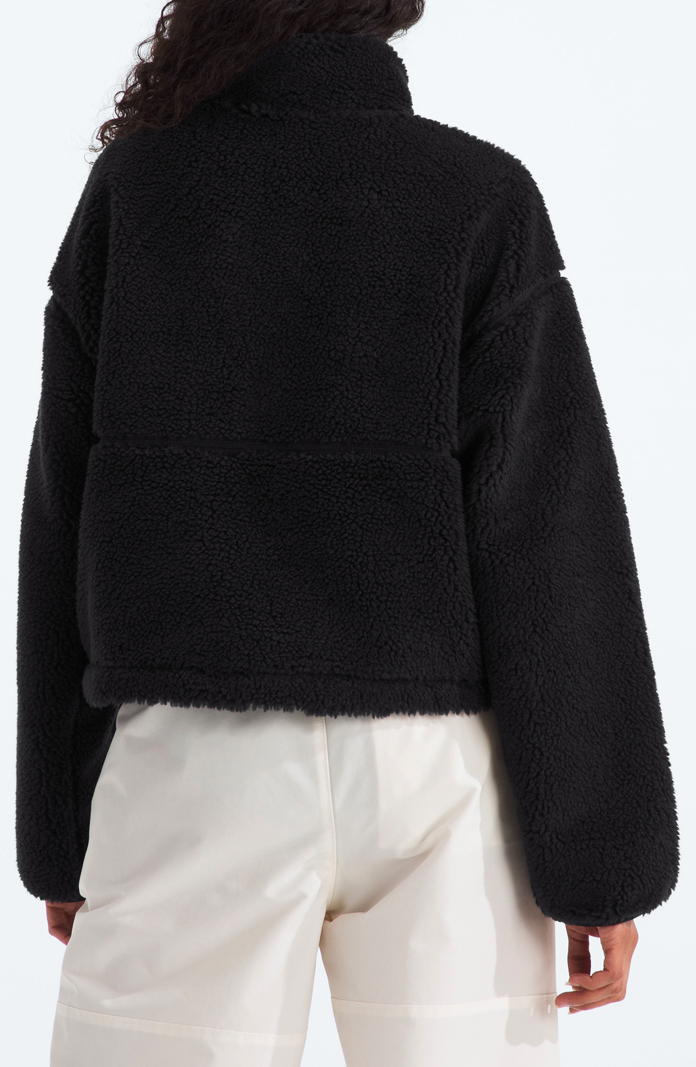 The North Face Extreme Pile Pullover in Tnf Black at Nordstrom - 2