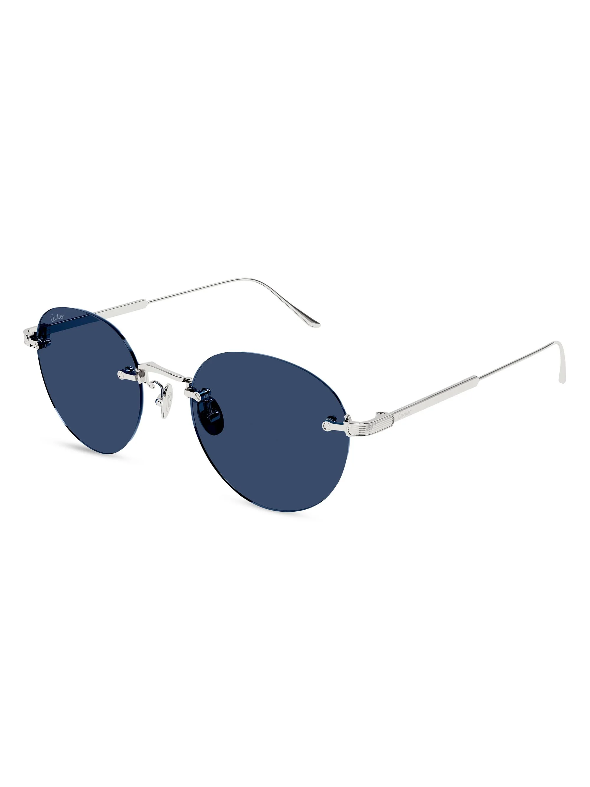 시그니처 C 52MM 플래티넘 플레이트 라운드 선글라스 - 1