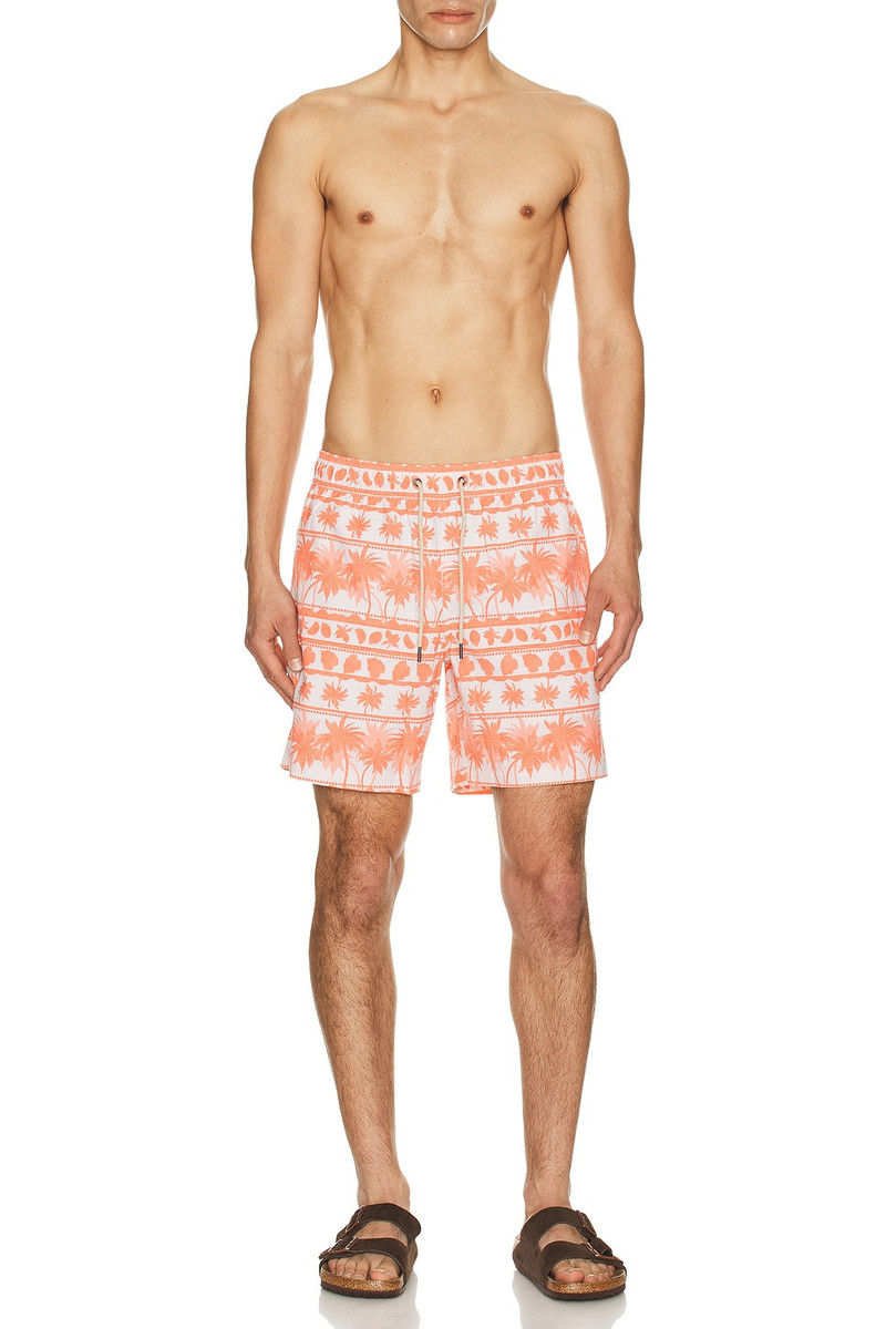 Fair Harbor Bayberryswim Trunk outlook