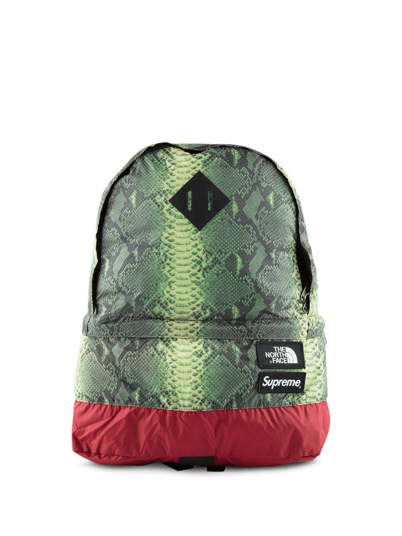TNF Snakeskin Lightweight Day backpack - 1