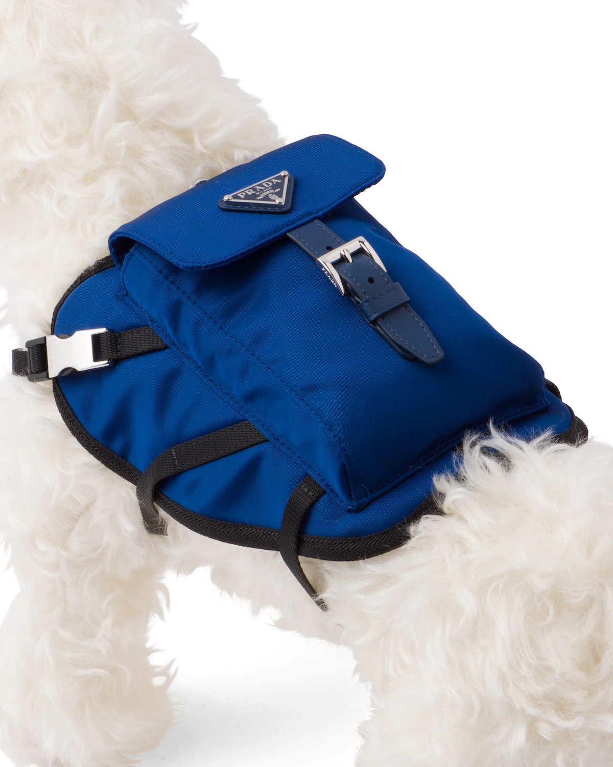 Nylon dog harness - 3