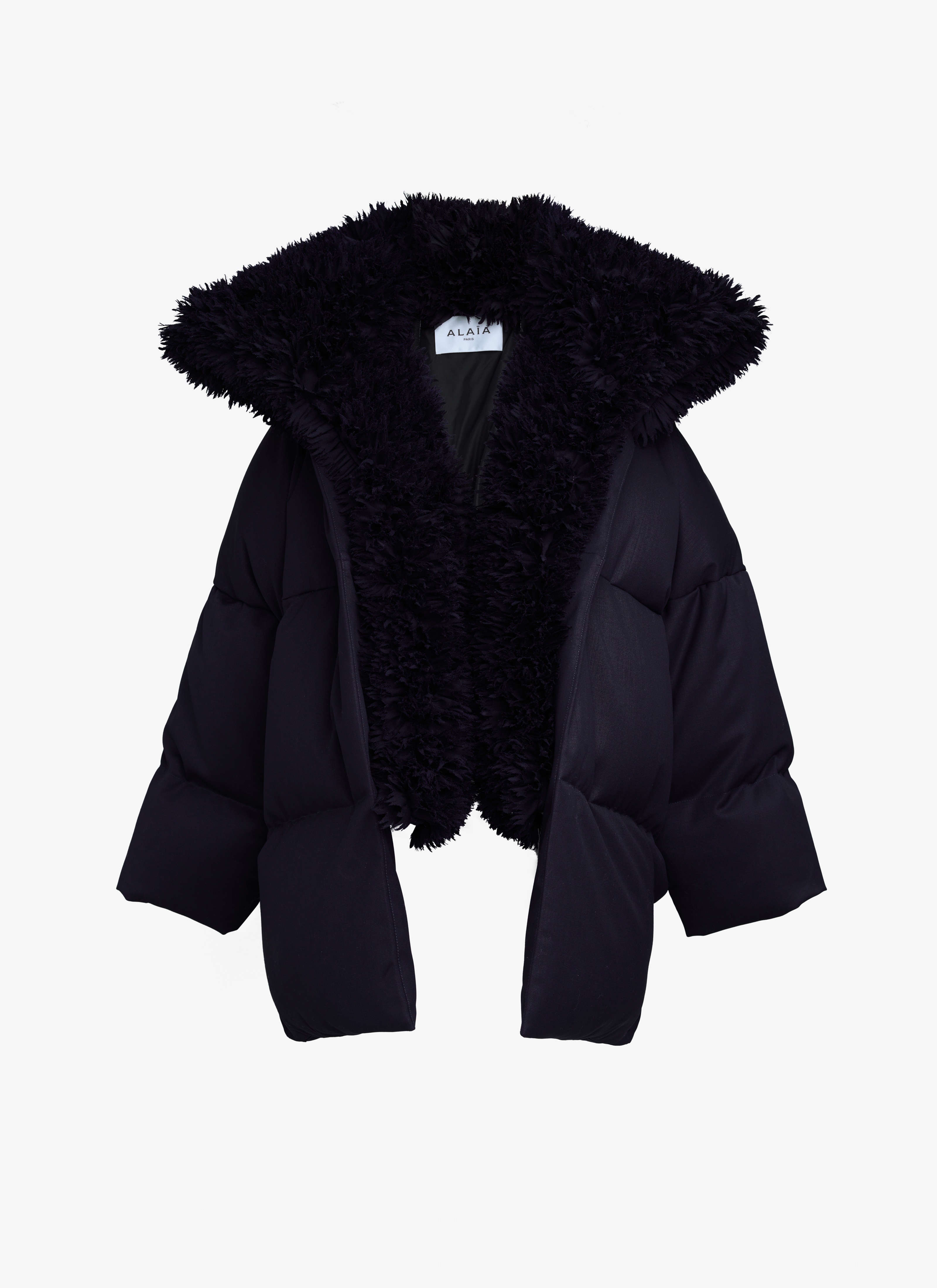FRILL PUFFER - 1