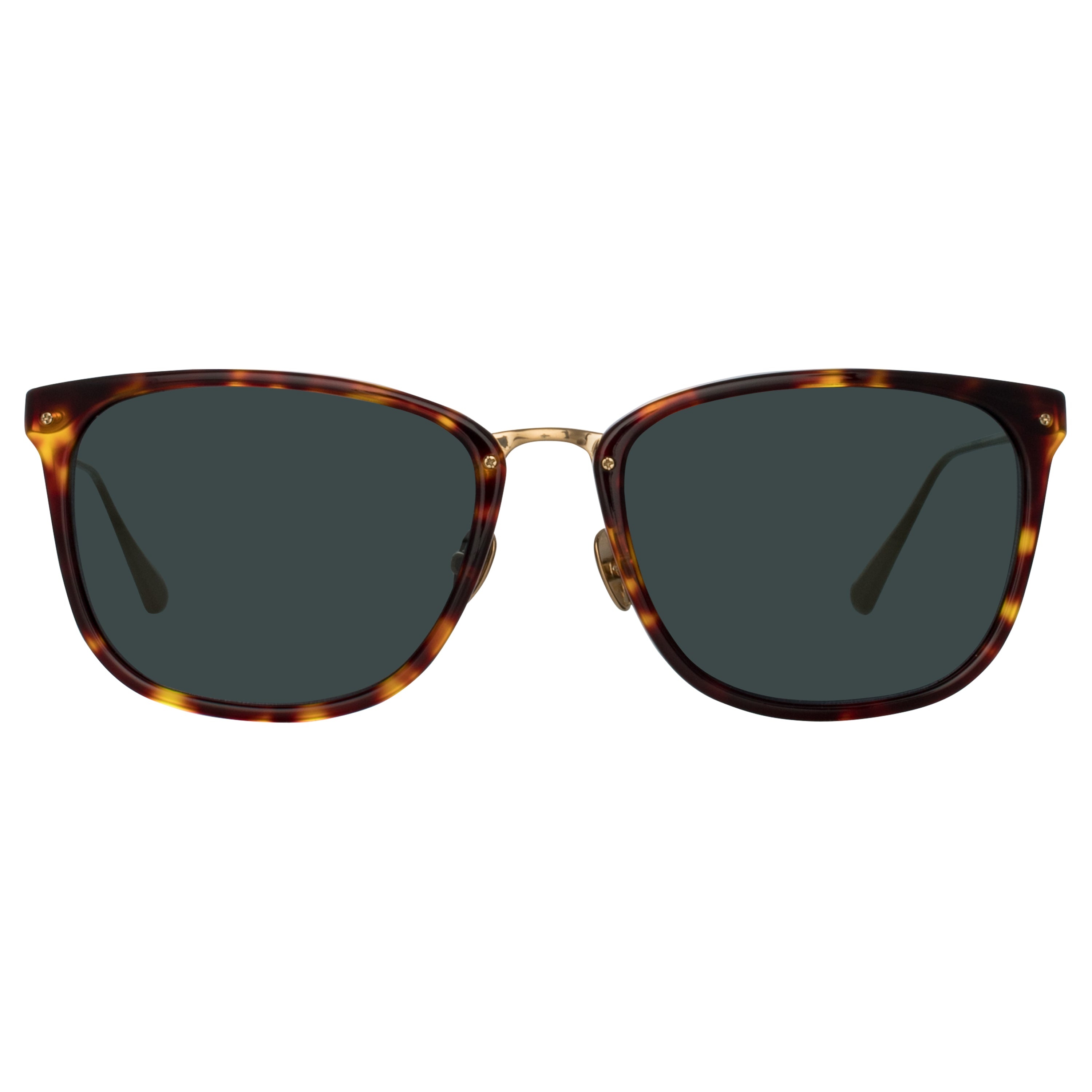 CASSIN D-FRAME SUNGLASSES IN TORTOISESHELL - 1