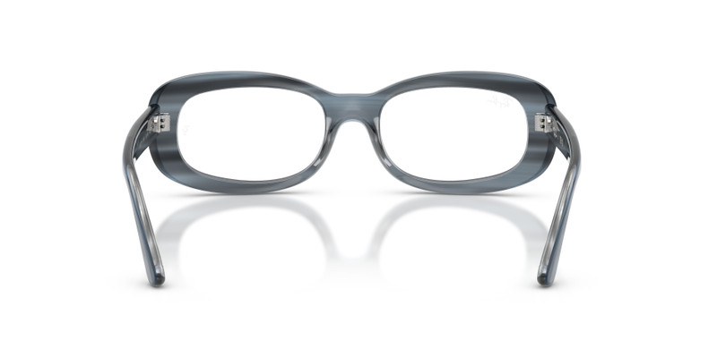 RB2221V OPTICS 6