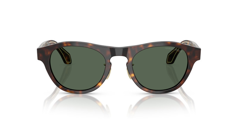 GIORGIO ARMANI AR8225 outlook