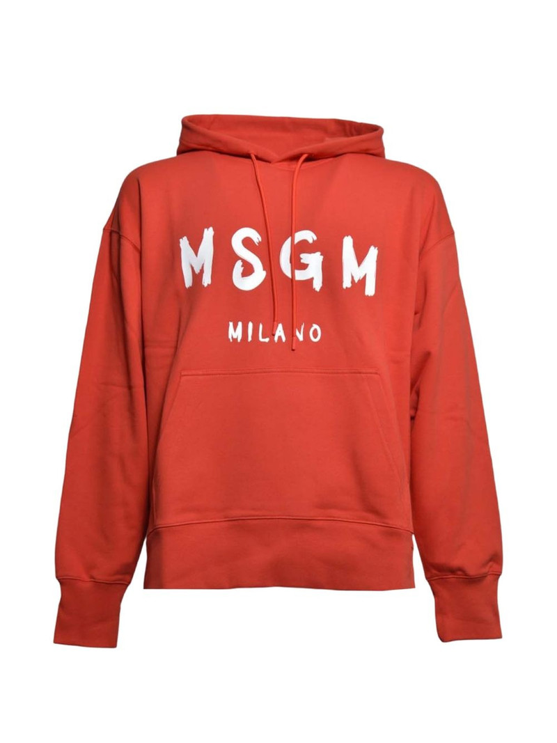 logo hoodie 1