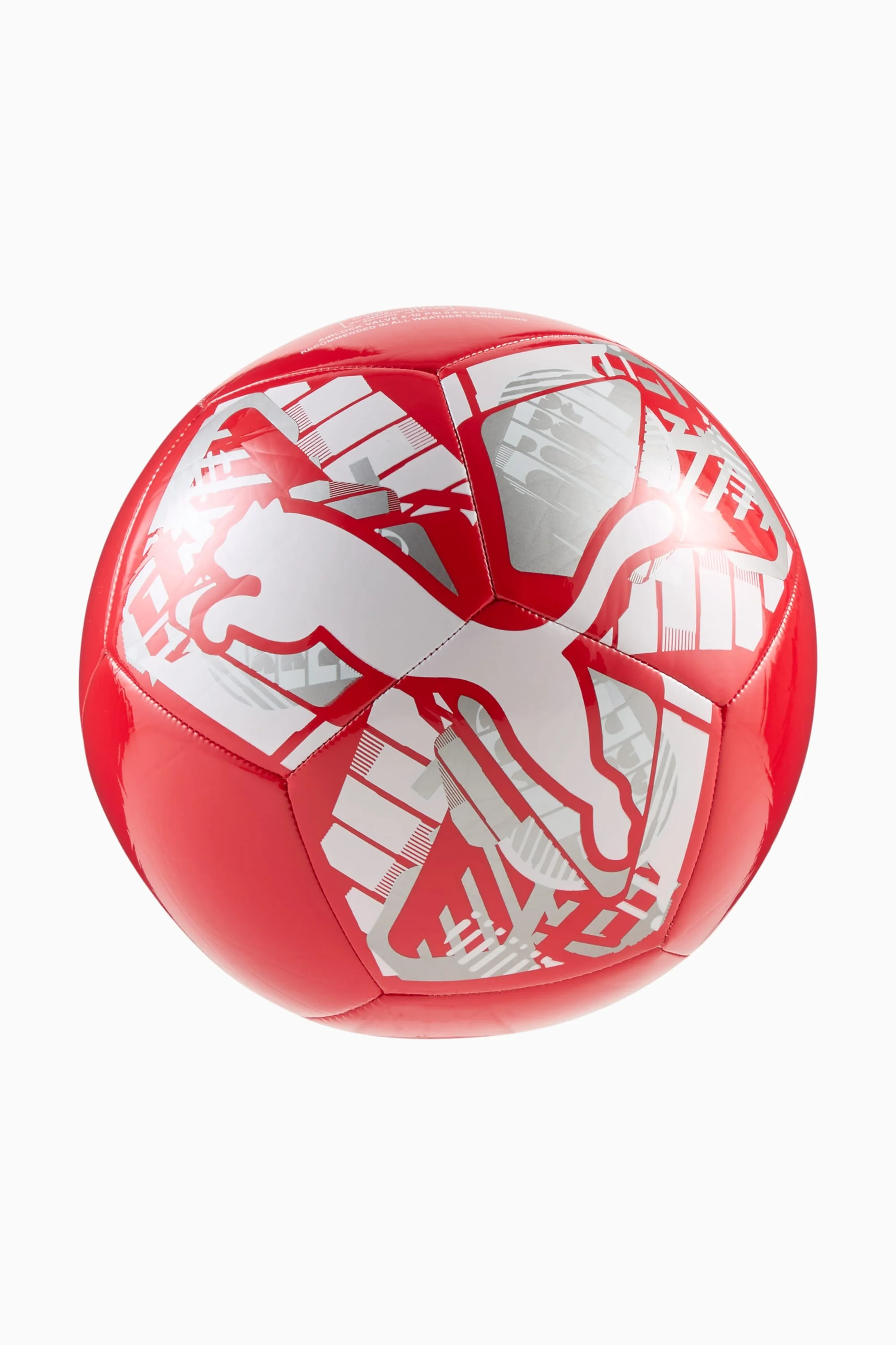 Big Cat Soccer Ball - 1