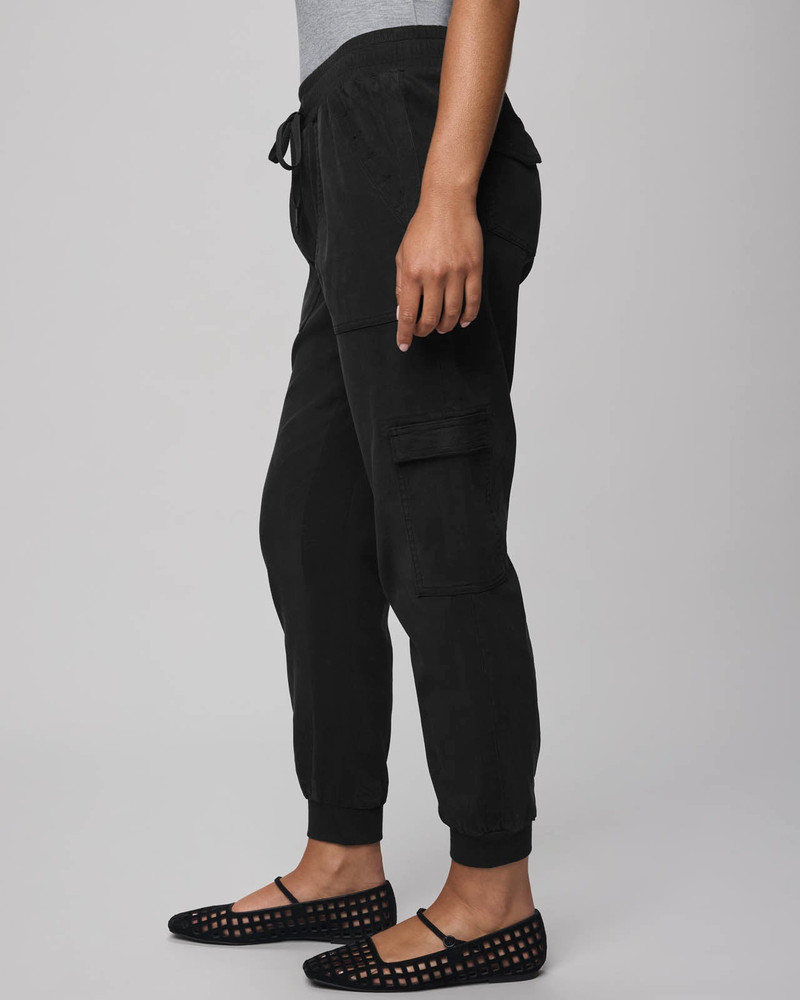 Splendid Jaclyn Jogger outlook