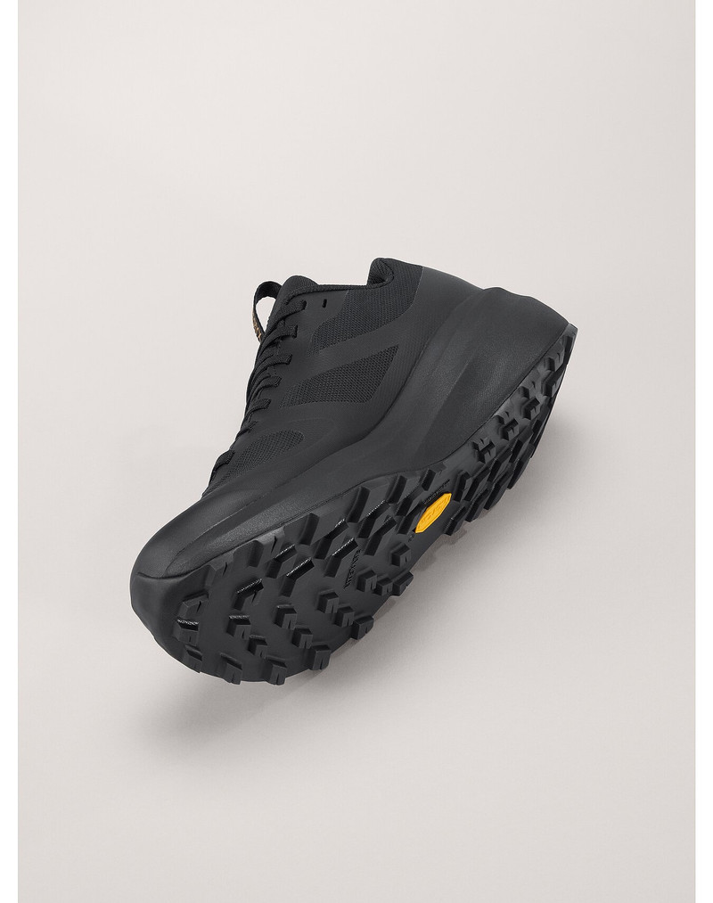 Norvan LD 3 GTX Shoe 5
