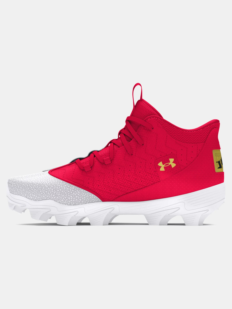 Under Armour Men's UA Harper 9 RM Baseball Cleats outlook