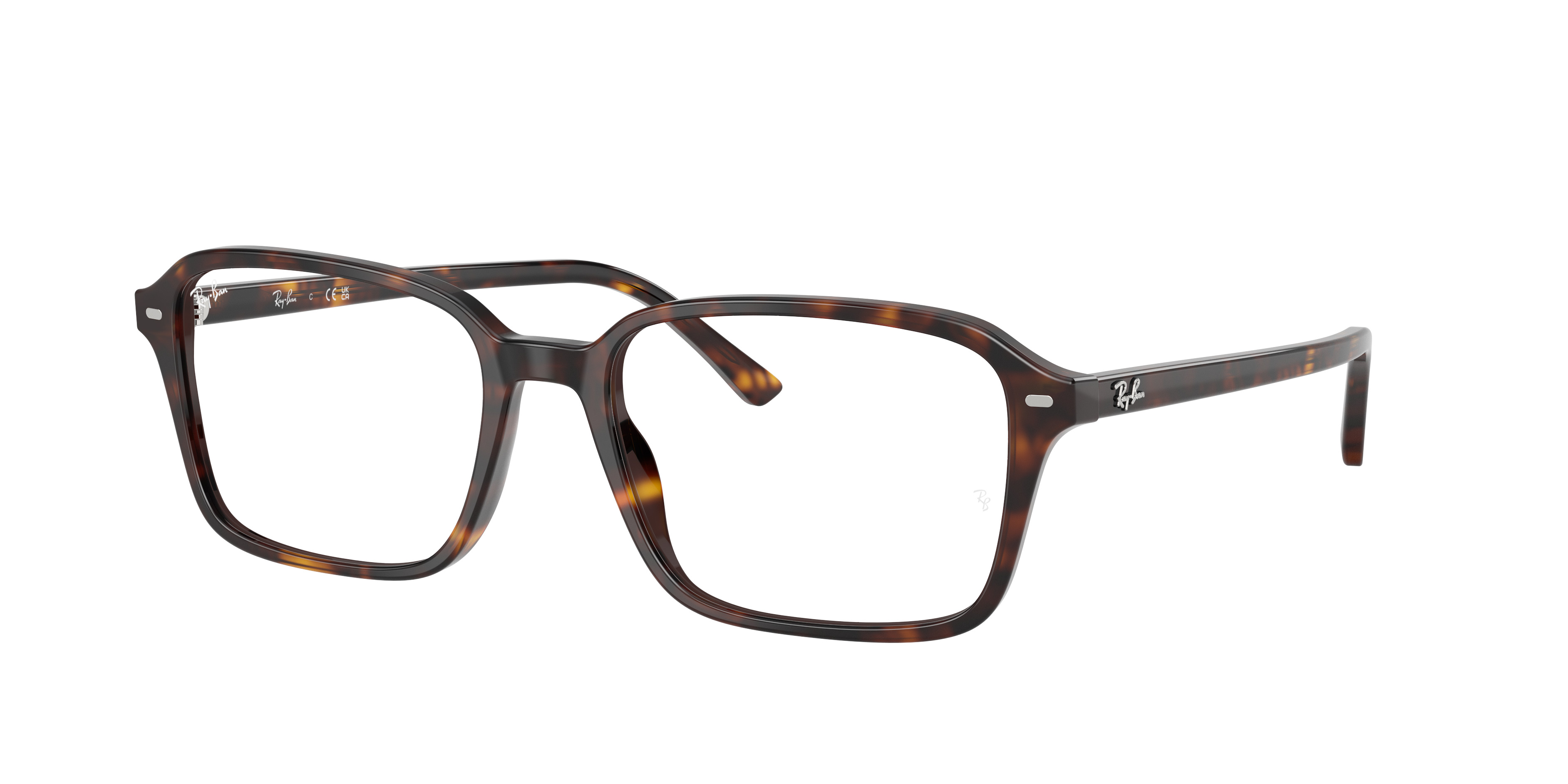 RAIMOND OPTICS - 3