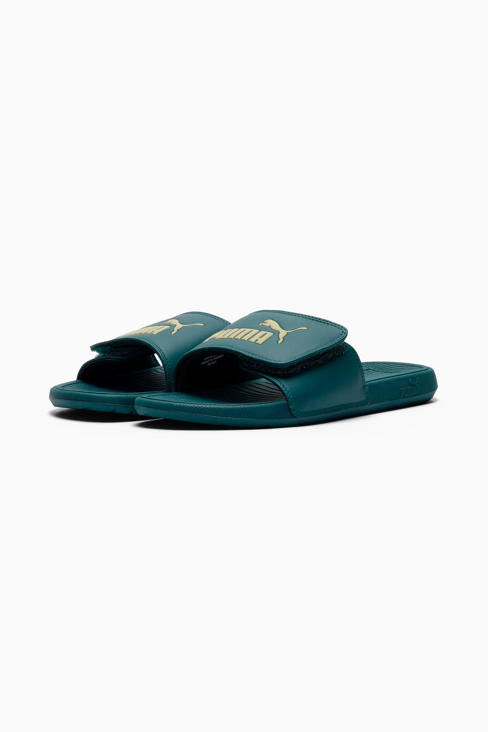 Cool Cat 2.0 Slides - 2