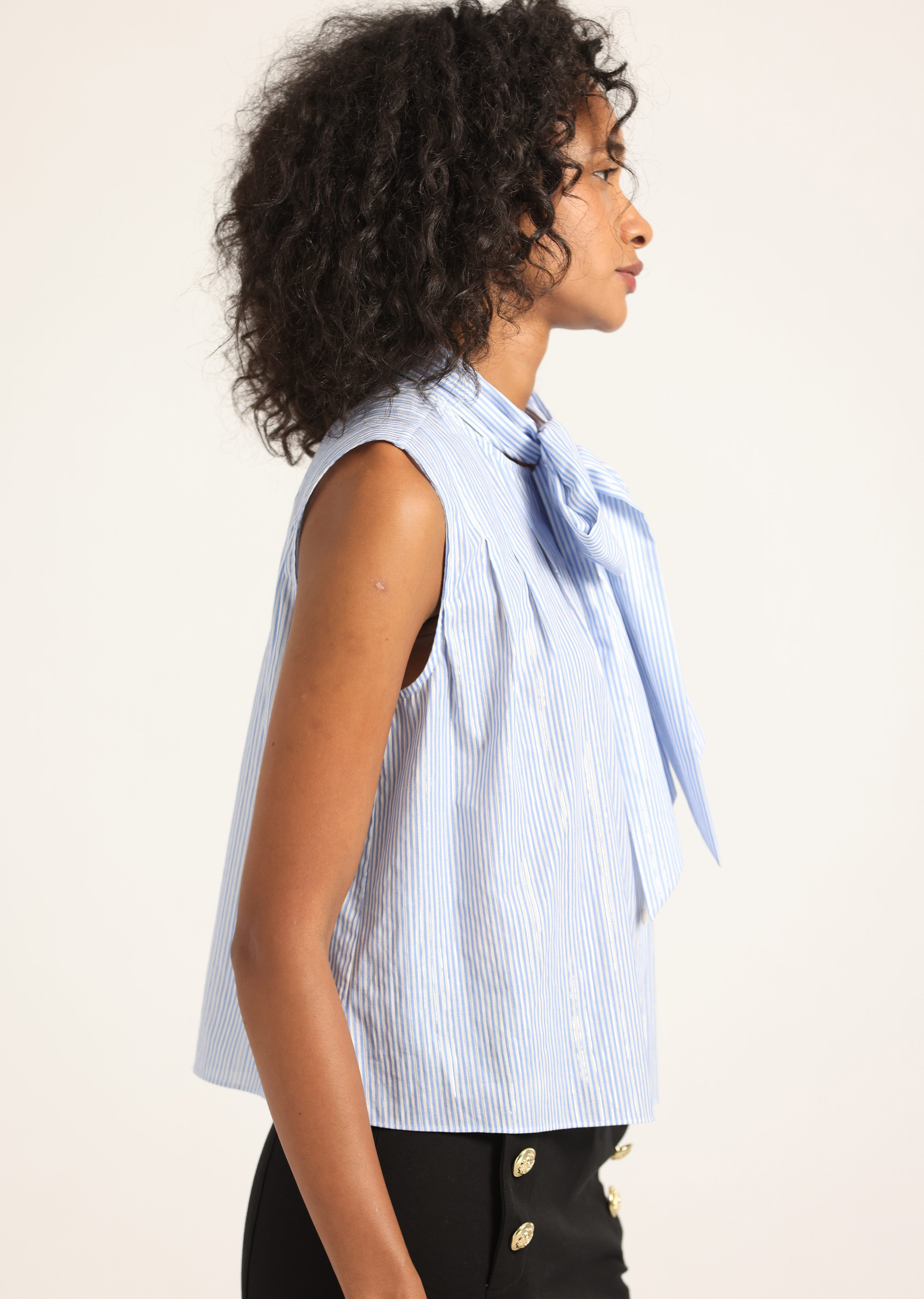 AVIANA LUREX STRIPE VOILE TIE NECK SLEEVELESS TOP - 3