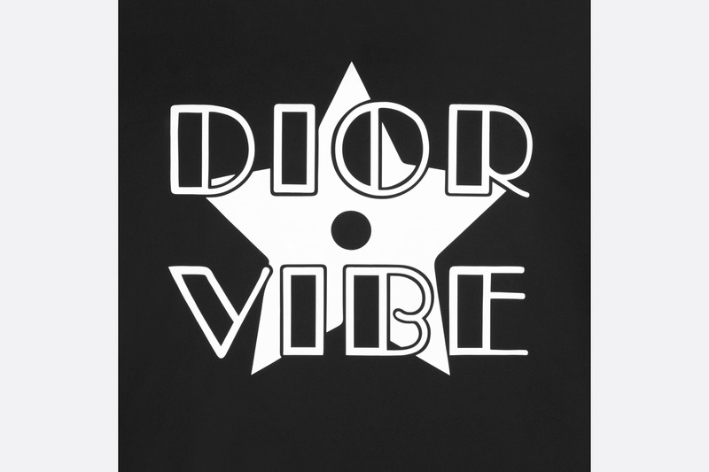 Dior Vibe Hooded Zipped Vest 3