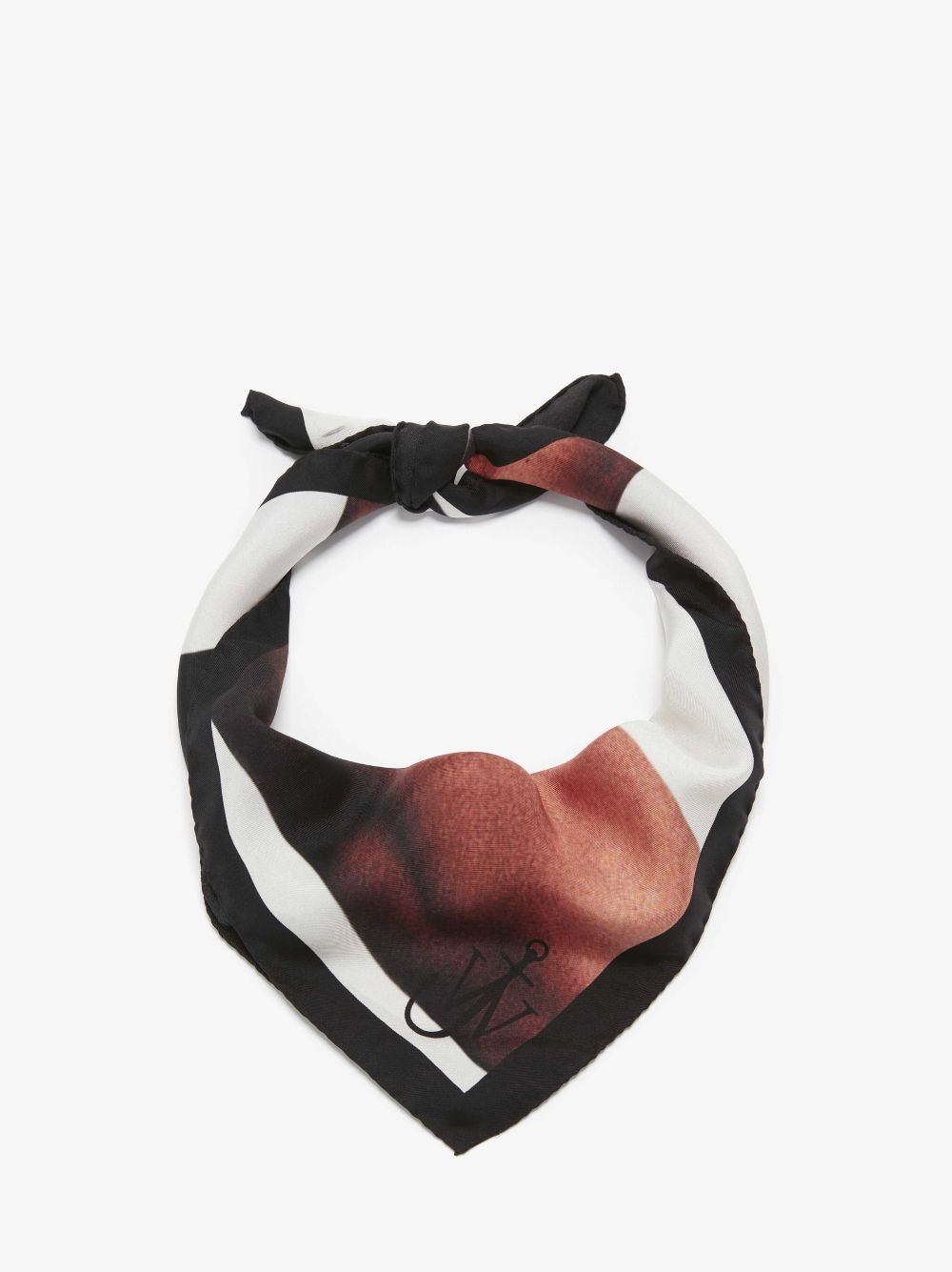 PRINTED SILK SCARF - 2