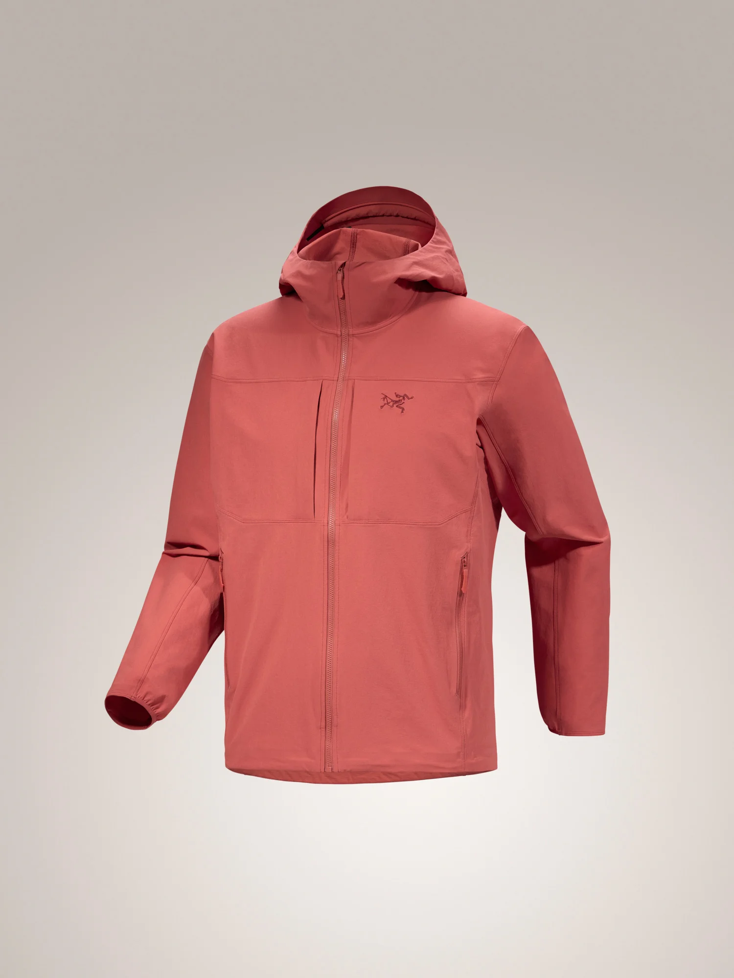Gamma Hoody - 1