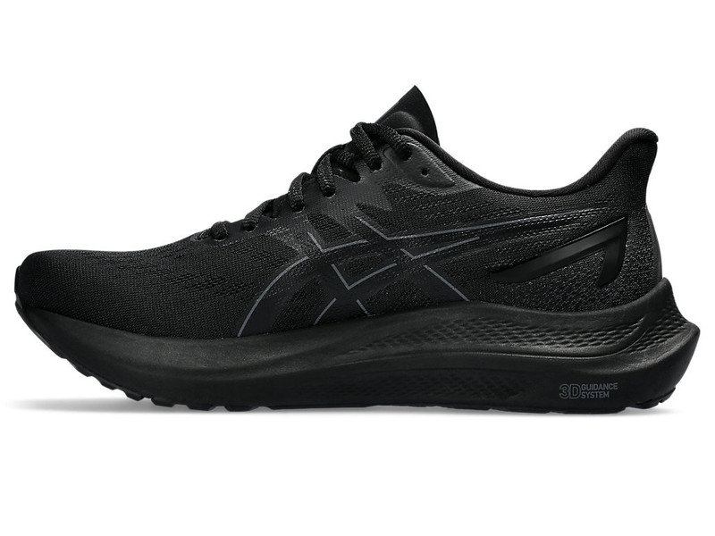Asics GT-2000 12 outlook