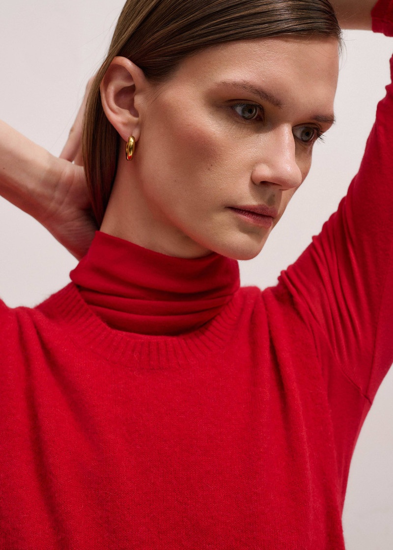 Sheer High Neck Top 5