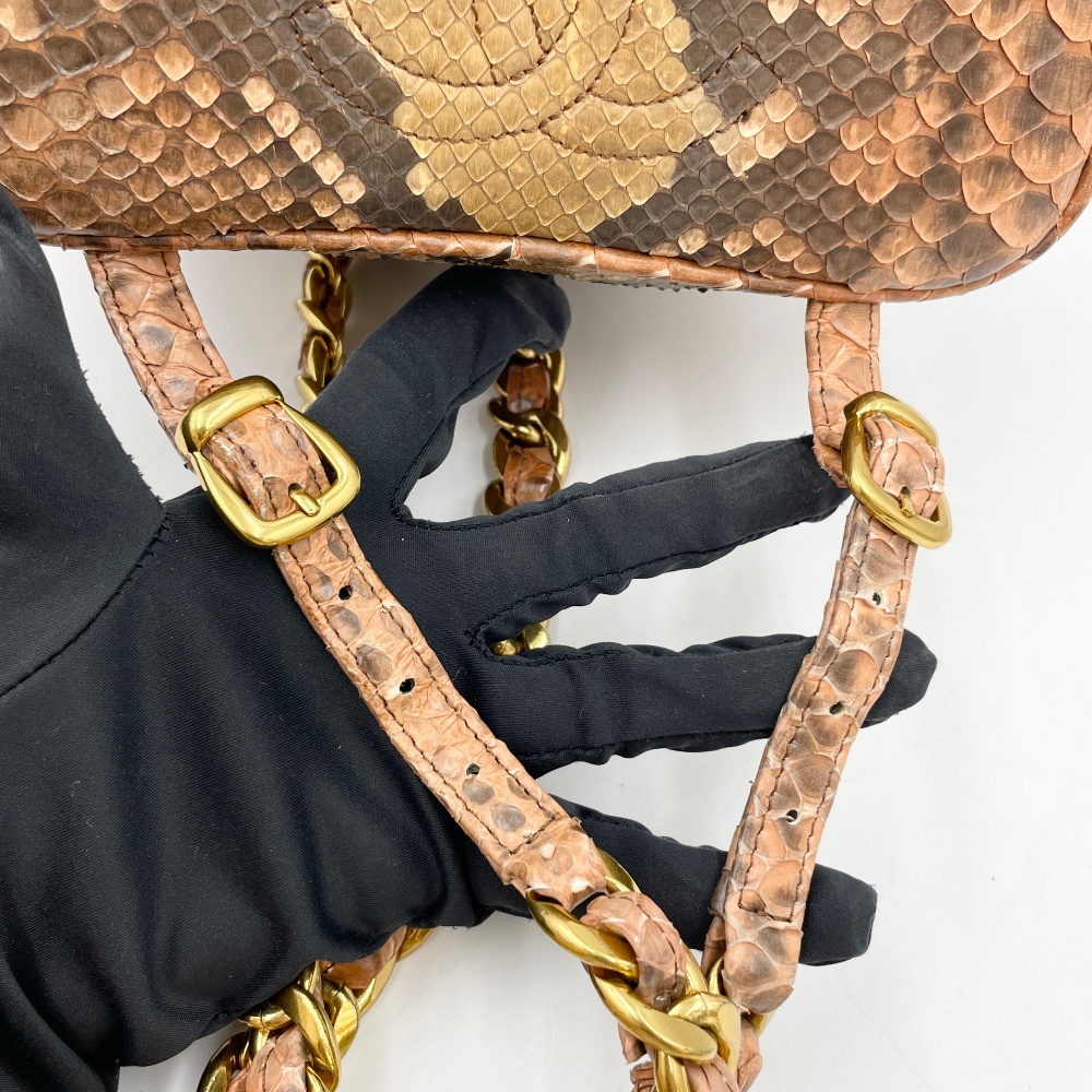 Chanel Snake Skin Duma Backpack - 13