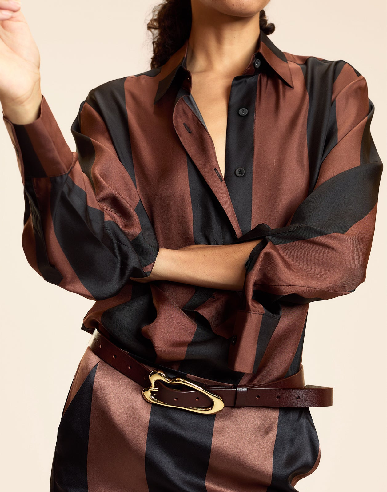 Collectible Stripe Silk Shirt - 3