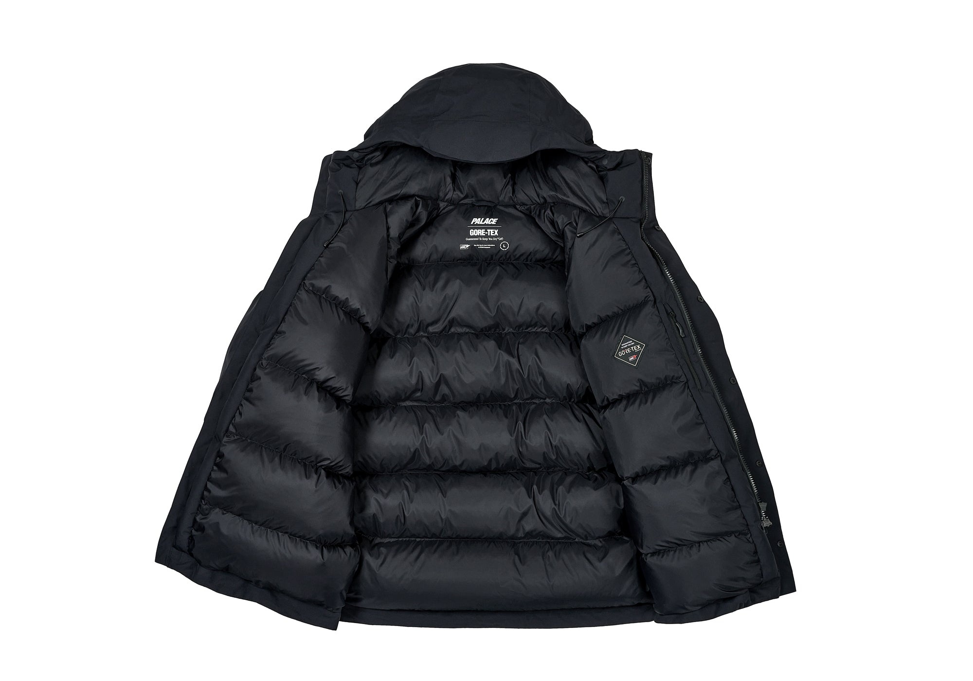 PALACE GORE-TEX CARGO DOWN PARKA BLACK | REVERSIBLE