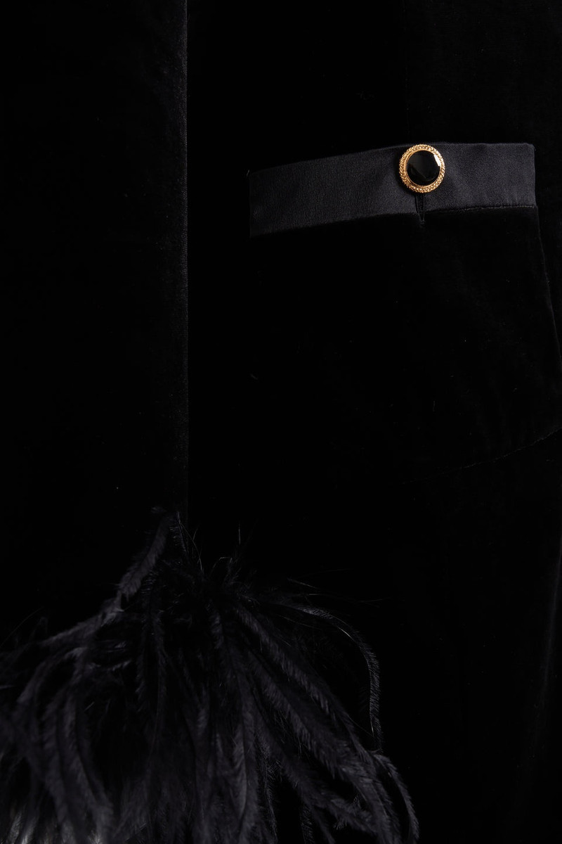 VELVET DRESS WITH FEATHERS AND JWL BUTTONS 3