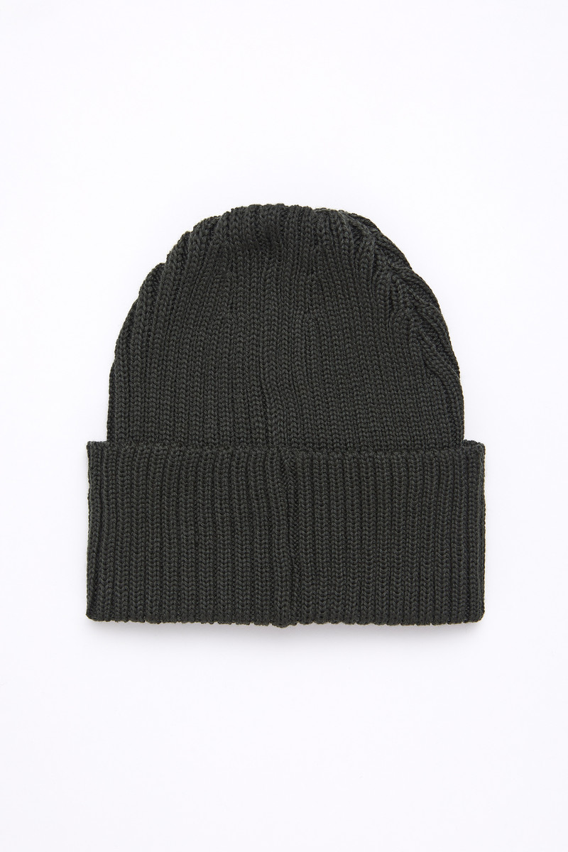 Big L Beanie Green 3