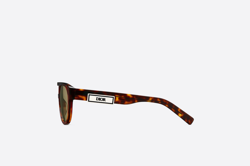 Dior DiorB23 R1I outlook